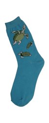 Sea Turtles