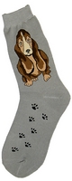 Cute Dog